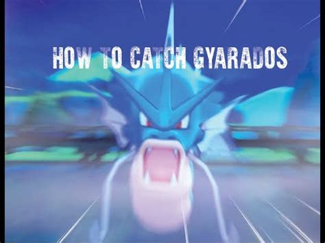 How To Catch Gyarados In Pokemon Sword And Shield YouTube