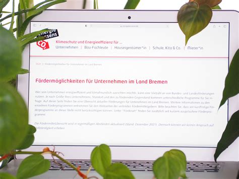 energiekonsens Mehr Durchblick im Förderdschungel Passende Programme