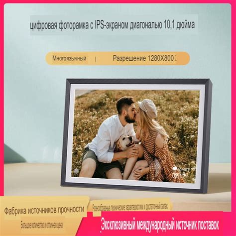 Фоторамка Digma 10.1" PF-1043 IPS 1280x800 черный пластик ПДУ Видео ...