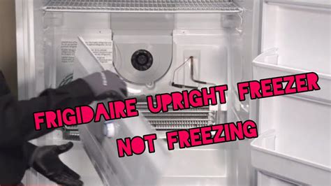 Stand Up Freezer Cold But Not Freezing At Carl Crowe Blog