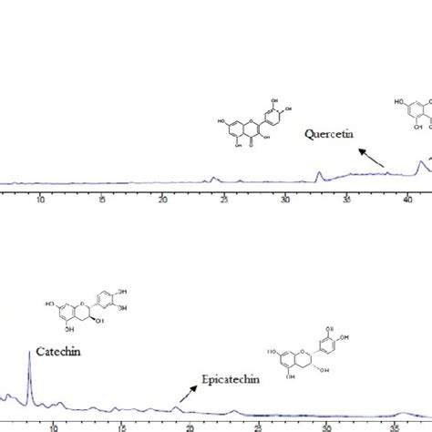 Chromatograms Hplc For Flavonoids A At 350 Nm And Tannins B Download Scientific