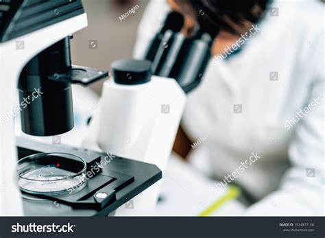 Microplastics Laboratory Research Scientist Using Microscope Stock