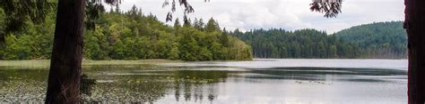 Killarney Lake | Breathtaking Lakeside Hike on Bowen Island