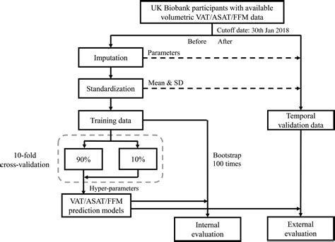 Sex Specific Equations To Estimate Body Composition Derivation And Validation Of Diagnostic