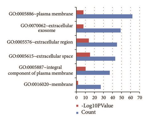 Go And Kegg Pathway Enrichment Analyses Of The Upregulated Degs In