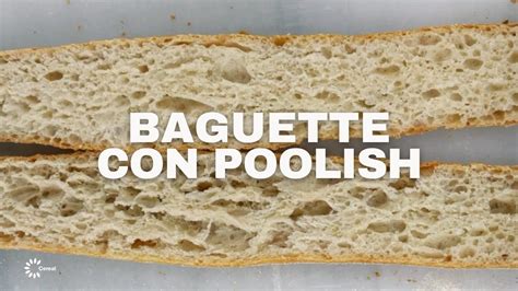 Cómo Hacer Baguette Con Poolish Receta Youtube