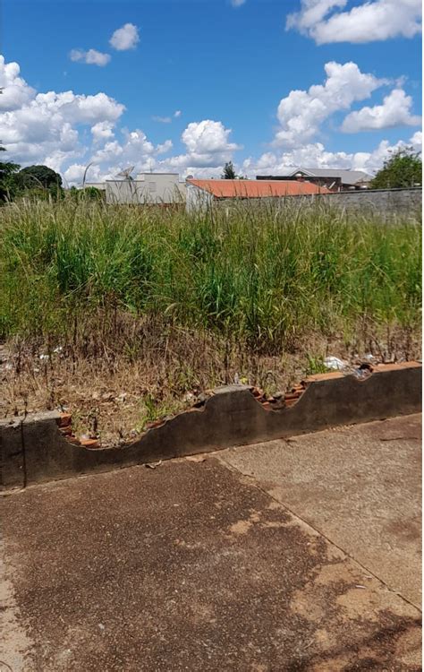 VIGILANTES DA LIMPEZA Internautas Seguem Enviando Fotos De Terrenos