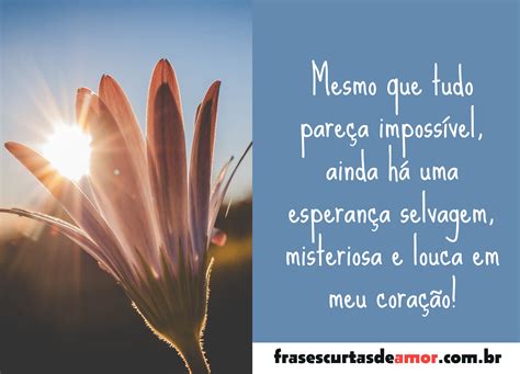 Frases Sobre Esperança Frases Curtas De Amor