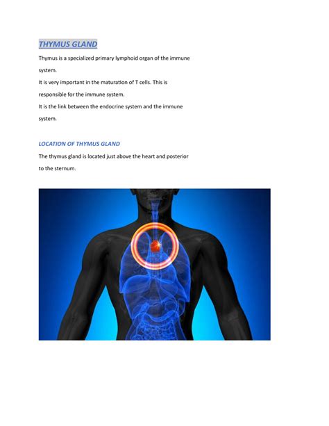 (PDF) THYMUS GLAND