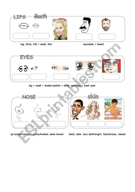 Physical Appearance 2 Esl Worksheet By Rjm1203