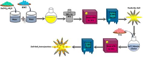 Schematic Illustration Of Synthesis Procedure Of Actinomorphic Zno