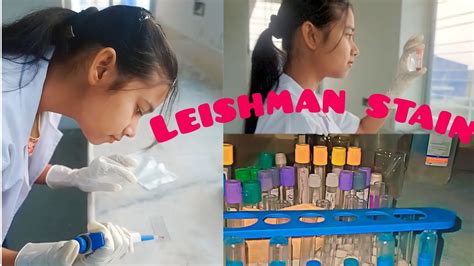 Leishman Staining Practical Dmlt Paramedics Medicalcollege