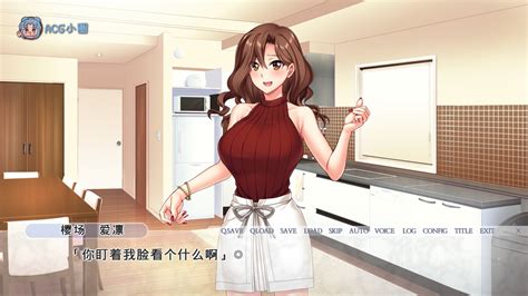 Pc【adv汉化ntr】ギャル妻・アンリの寝取らせプレイ Ai汉化版全cg【128g】