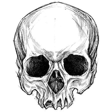 Resultado De Imagen Para Dibujos De Calaveras Skull Sketch Skulls