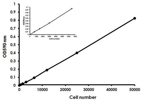 Mtt Assay Protocol Abcam