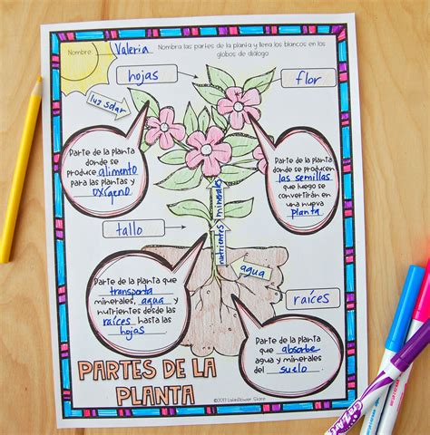 Interactive Science Notebook Teacherspayteachers Science And Nature