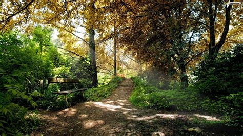 Forest Path Wallpapers Top Free Forest Path Backgrounds Wallpaperaccess