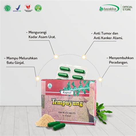 Jual Kapsul Ekstrak Tempuyung Herbal Tazakka Asli Obat Batu Ginjal Isk