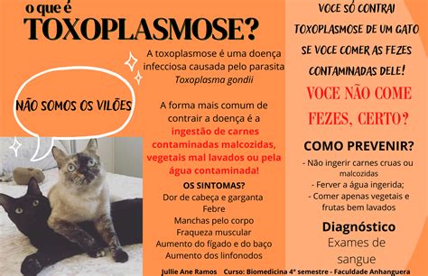 Toxoplasmose Folder Parasitologia