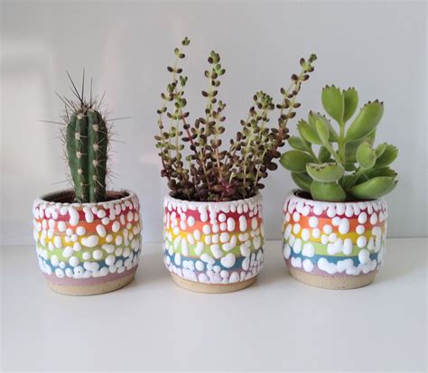 Small Ceramic Rainbow Succulent Planter With Crawl Glaze Lgbtq Gay Pride Flag Succulent