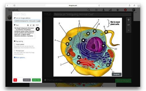 9 Great Digital Storytelling Tools For Chromebook Users Educators