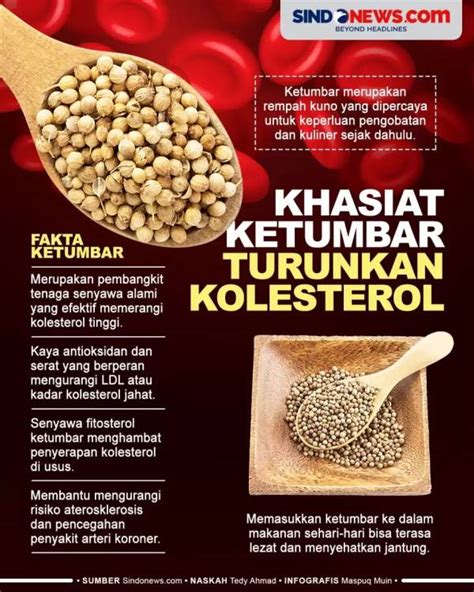 Manfaat Minum Air Rebusan Ketumbar Dan Efek Sampingnya