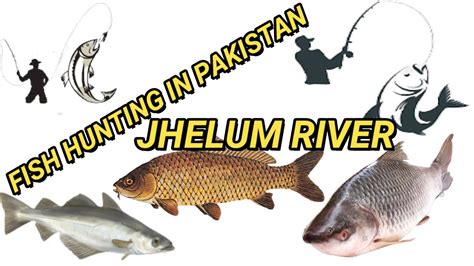 Fish Hunting In Pakistan Jhelum River Machli Ka Shikar Gulfam