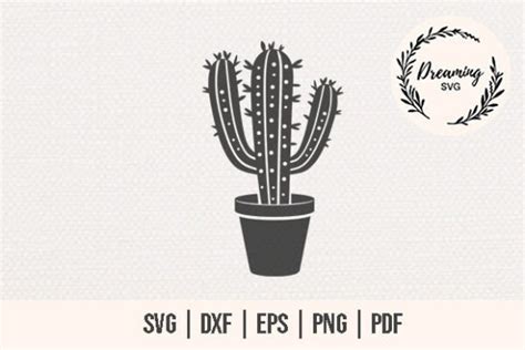 Cactus Svg Succulent Svg Cute Cactus Graphic By Dreamingsvg