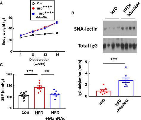 Supplementation With The Sialic Acid Precursor N Acetyl D Mannosamine Breaks The Link Between