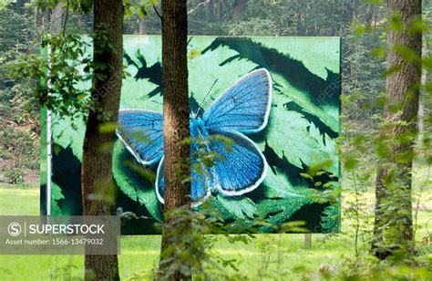 Zonder Titel Untitled Cor Dera Kr Ller M Ller Museum Garden