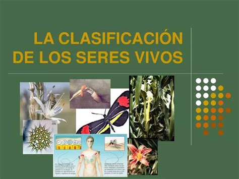 PPT LA CLASIFICACIÓN DE LOS SERES VIVOS PowerPoint Presentation free