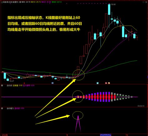 霸气自动波通达信幅图选股指标，双紫色共振做波段，捉大牛！ 金牛区荣成软件开发服务部