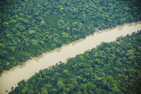 Par Registra Oitavo M S Consecutivo De Redu O Nos Alertas De