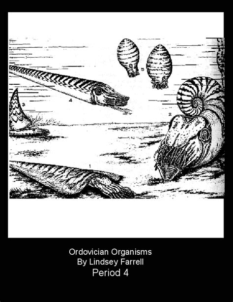 Ordovician Life Forms Book 278418