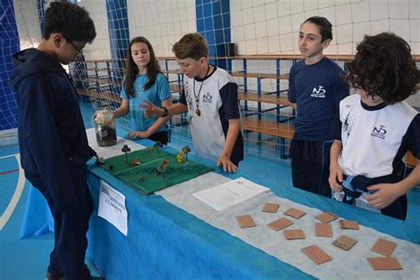 Feira De Ci Ncias Ano Escola Notre Dame Menino Jesus