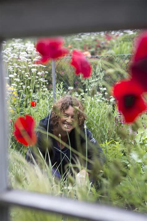 Frühjahrsblüher in unserem Garten