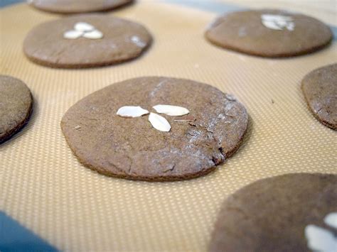 Easy German Lebkuchen Cookies - My Oma's Recipe