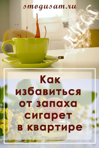 Запах табачного дыма в квартире — как избавиться