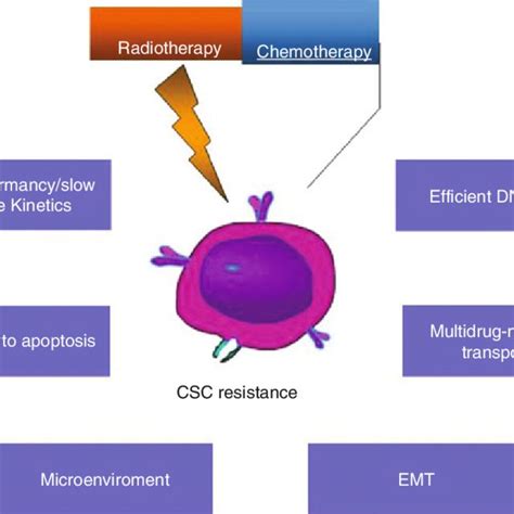 1 Active Clinical Trials Targeting Cscs Emt And Related Pathways In