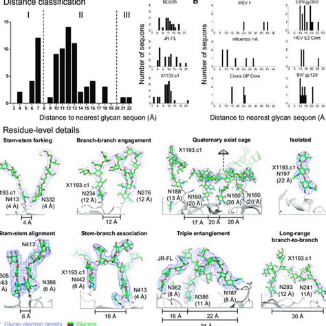 Taxonomy Of Glycan Glycan Interactions That Comprise The HIV 1 Glycan