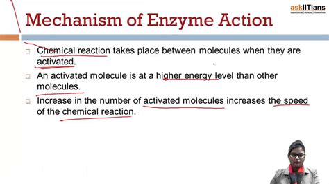 Mechanism Of Enzyme Action Biology Class Aipmt Aiims