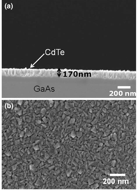 A Cross Sectional Sem Image And B Top View Image Of Cdte