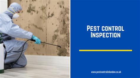 Pest Control Inspection Pest Exterminators