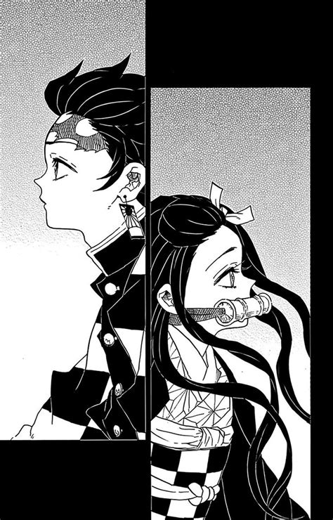 Tanjirou And Nezuko