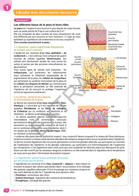 Extrait La coloration et la forme durable Pôle 1 Tome 1 1re Tle