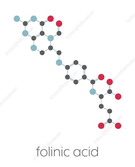 Folinic Acid Chemotherapy Drug Molecular Model Stock Image F025 2222 Science Photo Library