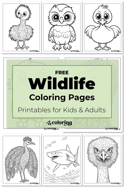 🦁 Wildlife Coloring Pages 27 Free Printables For Kids And Adults