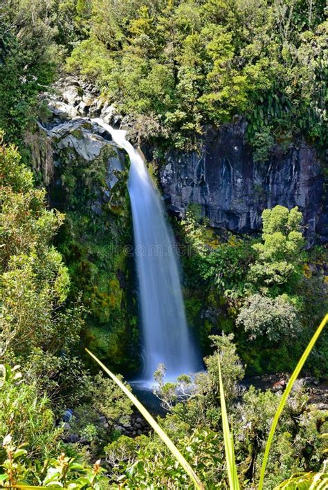 New Zealand Dawson Falls Stock Photos - Free & Royalty-Free Stock Photos from Dreamstime