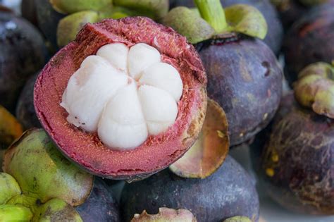 Frubeats Snack – Mangosteen | Sental Europa SAS