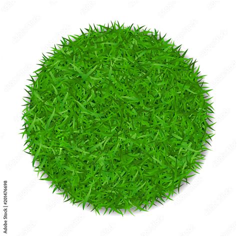 Grass Circle 3d Green Plant Grassy Round Field Isolated On White